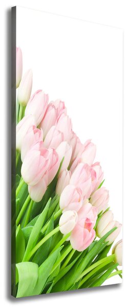 Vertikální Foto obraz na plátně Růžové tulipány ocv-22467427