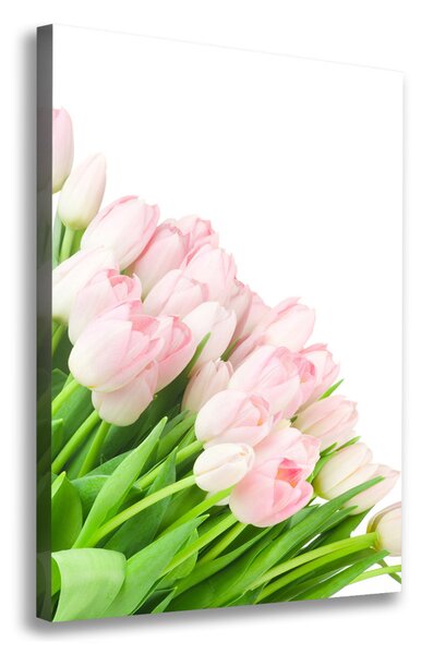 Vertikální Foto obraz na plátně Růžové tulipány ocv-22467427