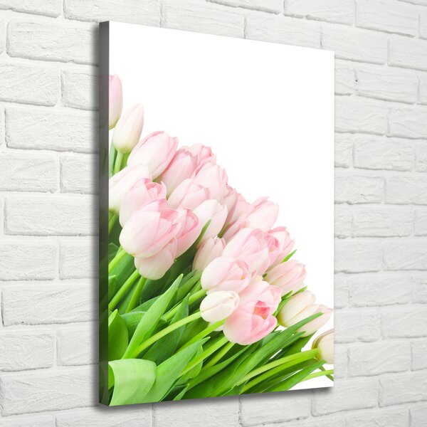 Vertikální Foto obraz na plátně Růžové tulipány ocv-22467427