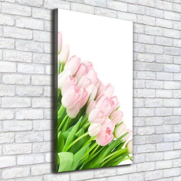 Vertikální Foto obraz na plátně Růžové tulipány ocv-22467427