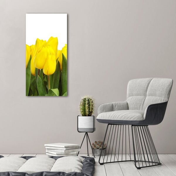 Vertikální Foto obraz na plátně Žluté tulipány ocv-2665979