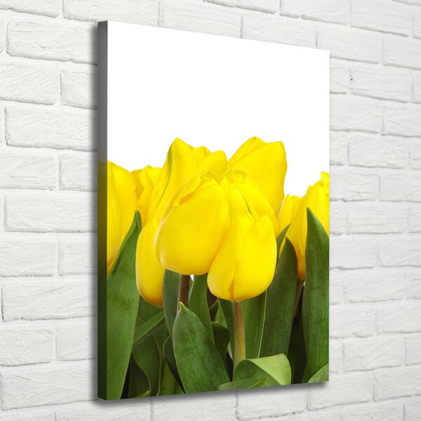 Vertikální Foto obraz na plátně Žluté tulipány ocv-2665979