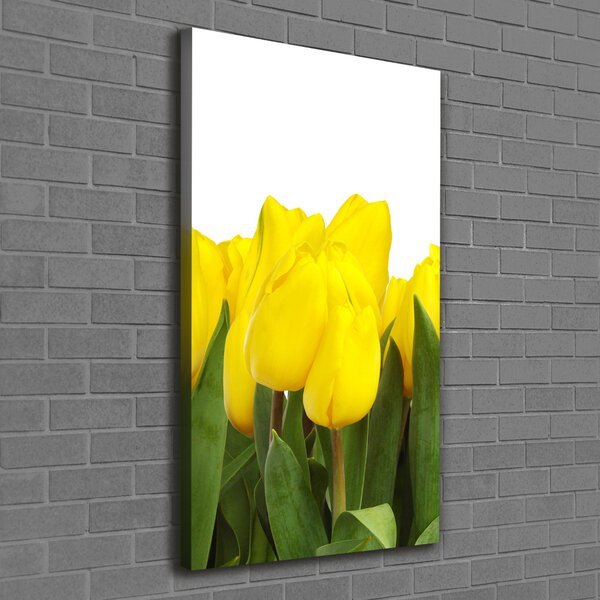 Vertikální Foto obraz na plátně Žluté tulipány ocv-2665979