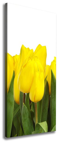 Vertikální Foto obraz na plátně Žluté tulipány ocv-2665979