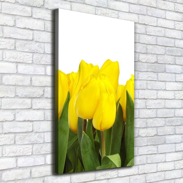 Vertikální Foto obraz na plátně Žluté tulipány ocv-2665979