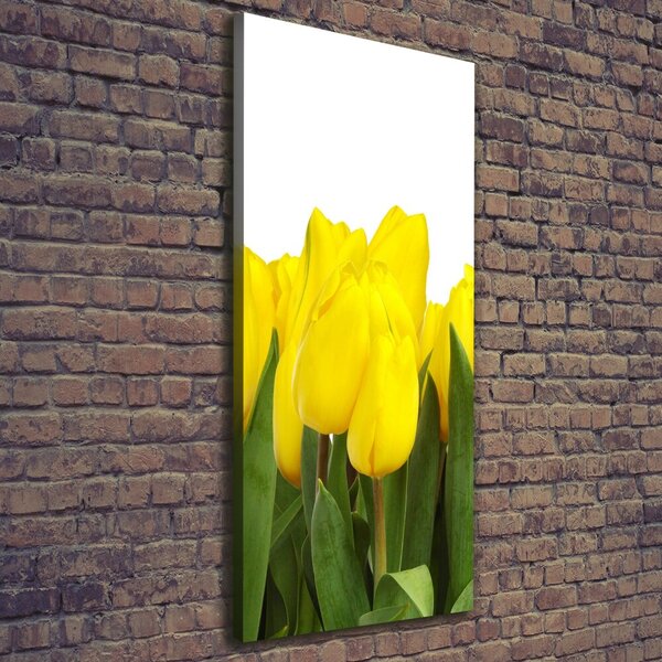 Vertikální Foto obraz na plátně Žluté tulipány ocv-2665979