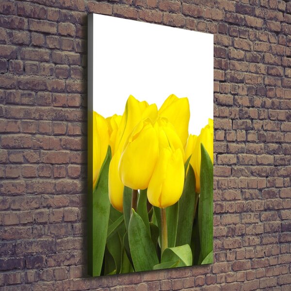 Vertikální Foto obraz na plátně Žluté tulipány ocv-2665979
