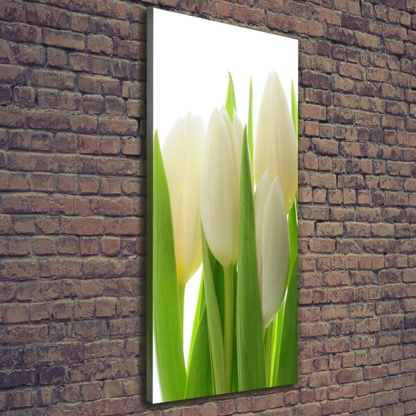 Vertikální Foto obraz na plátně Bílé tulipány ocv-28819889