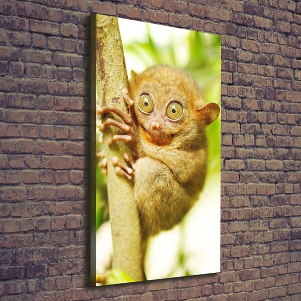 Vertikální Foto obraz canvas Nártoun celebeský ocv-29559454
