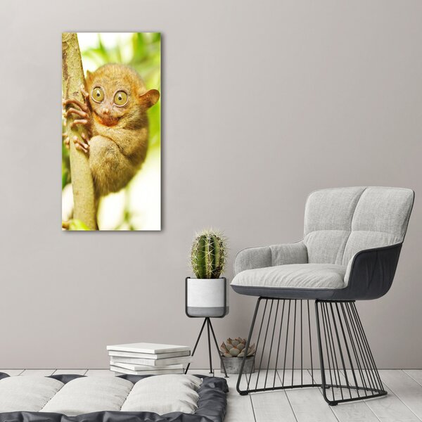 Vertikální Foto obraz canvas Nártoun celebeský ocv-29559454
