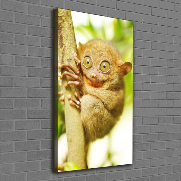 Vertikální Foto obraz canvas Nártoun celebeský ocv-29559454