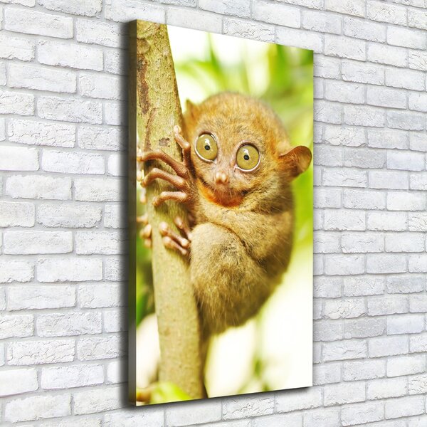 Vertikální Foto obraz canvas Nártoun celebeský ocv-29559454