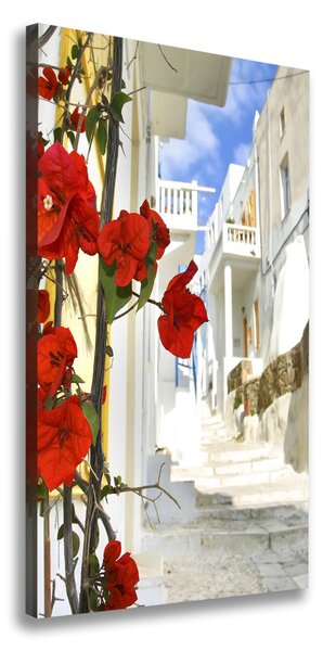 Vertikální Foto obraz na plátně Mykonos Řecko ocv-2987309