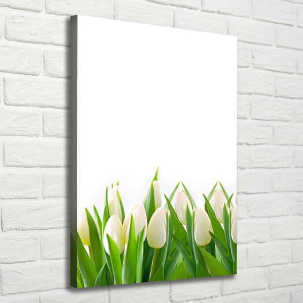Foto-obraz canvas do obýváku Bílé tulipány ocv-30153186