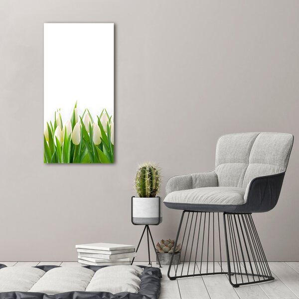 Foto-obraz canvas do obýváku Bílé tulipány ocv-30153186