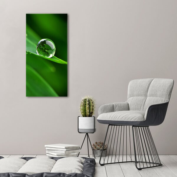 Vertikální Foto obraz canvas Stéblo trávy ocv-32091660