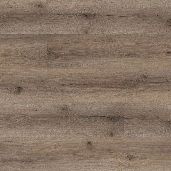Floor Forever Bellissimo Click 0,5 Rigid Dub Rovio 6011