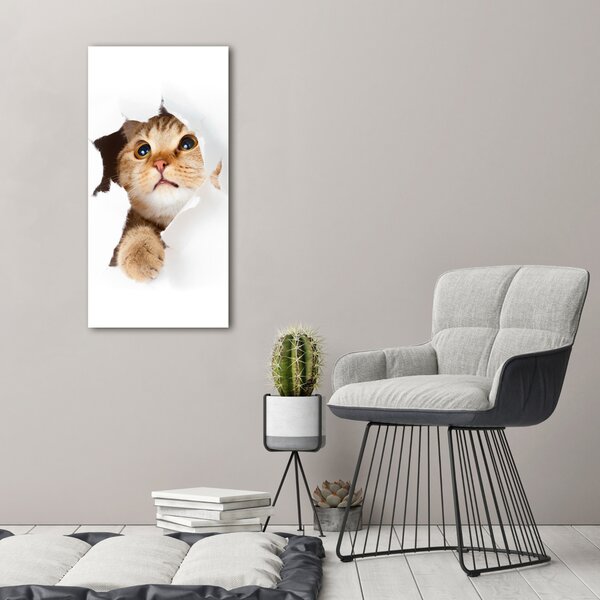 Vertikální Foto obraz canvas Kocour ocv-33902265