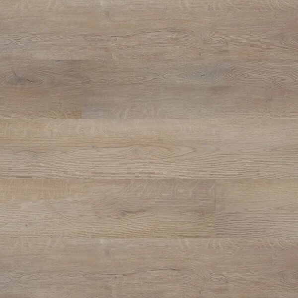 Floor Forever Bellissimo Click 0,5 Rigid Dub Tario 6013