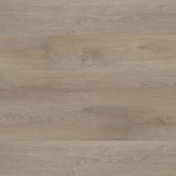Floor Forever Bellissimo Click 0,5 Rigid Dub Lenzo 6012