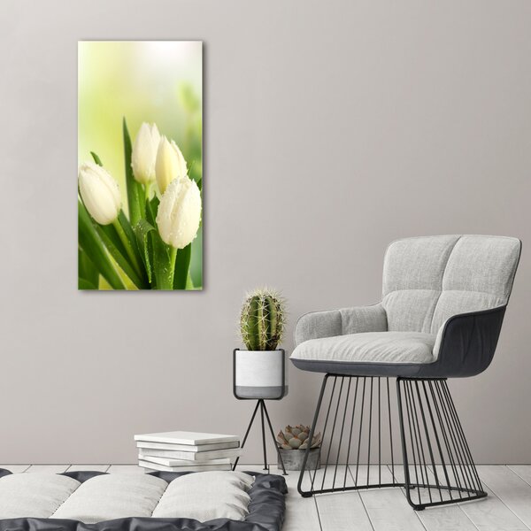 Vertikální Foto obraz na plátně Bílé tulipány ocv-34973360