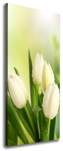 Vertikální Foto obraz na plátně Bílé tulipány ocv-34973360