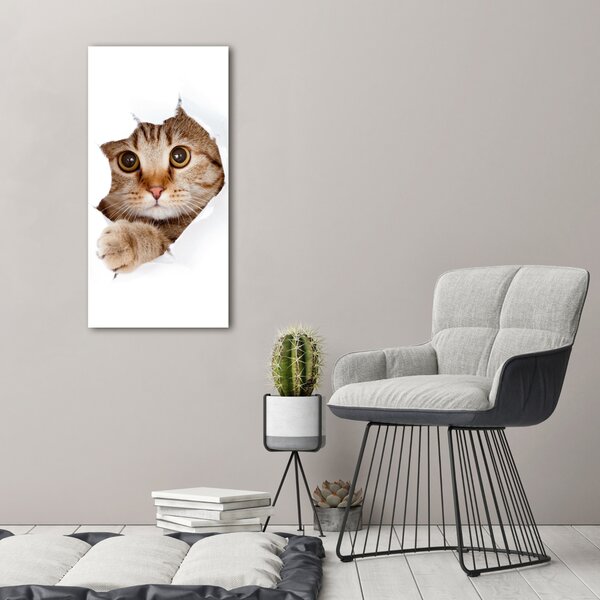 Vertikální Foto obraz canvas Kocour ocv-35664648