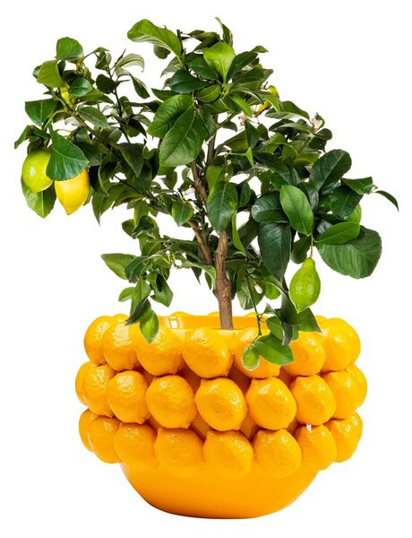 Kare designové vázy Lemon (22 cm)