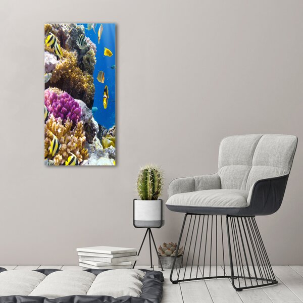 Vertikální Foto obraz canvas Korálový útes ocv-36026012