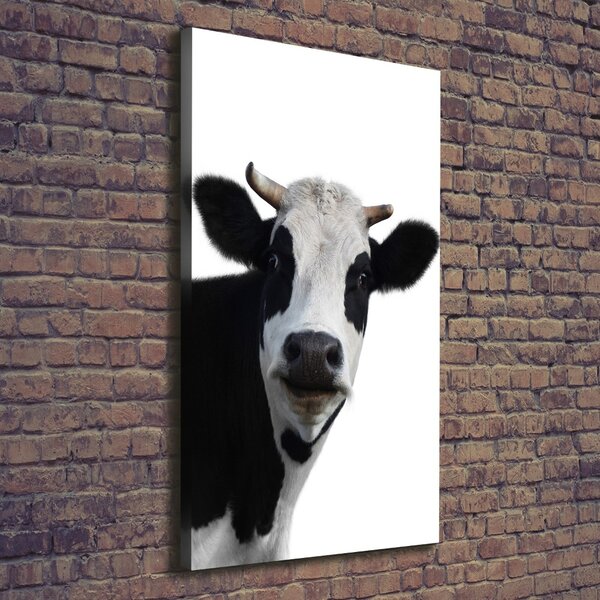 Vertikální Foto obraz canvas Flekatá kráva ocv-38327134