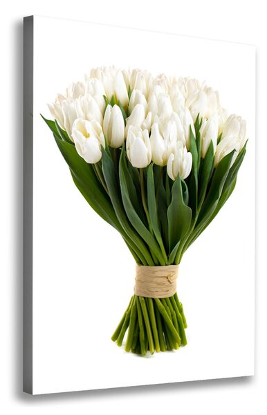 Vertikální Foto obraz na plátně Bílé tulipány ocv-40664213