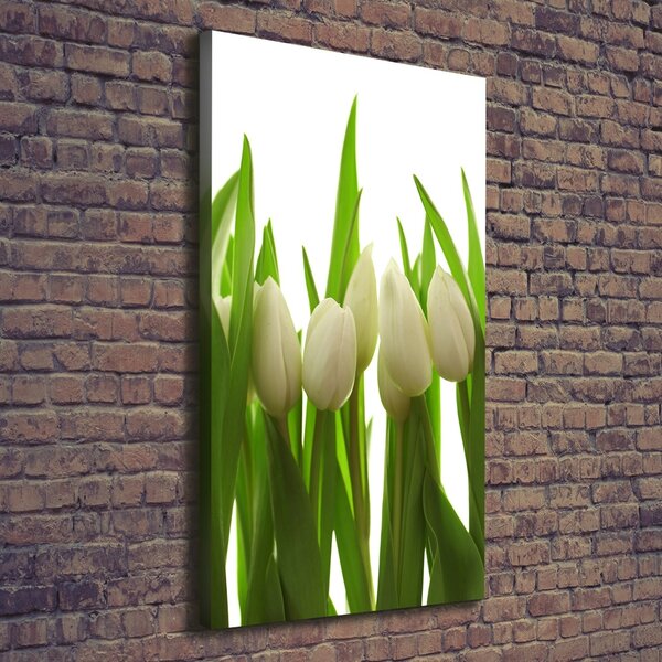 Vertikální Foto obraz na plátně Bílé tulipány ocv-40774671