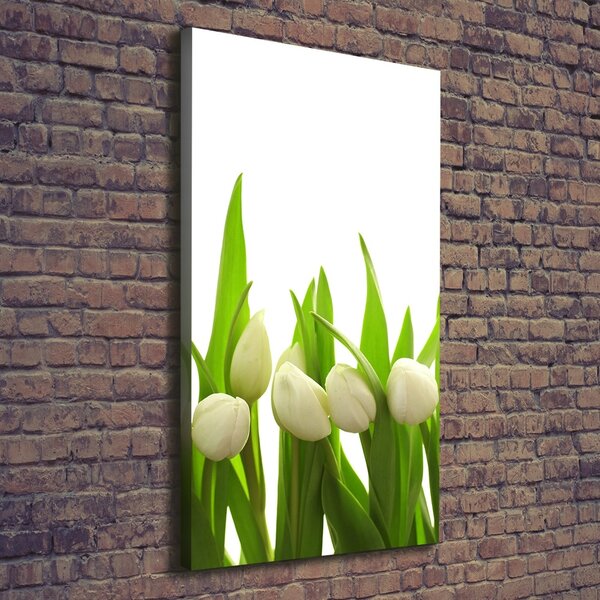 Foto-obraz canvas do obýváku Bílé tulipány ocv-40774643