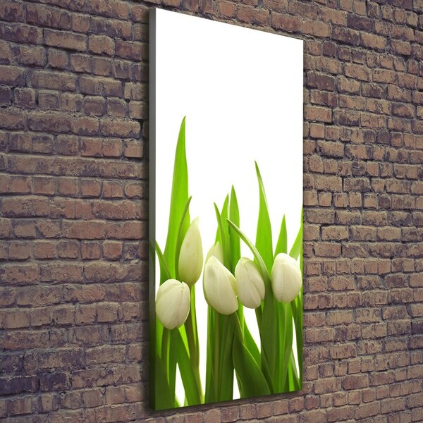 Foto-obraz canvas do obýváku Bílé tulipány ocv-40774643