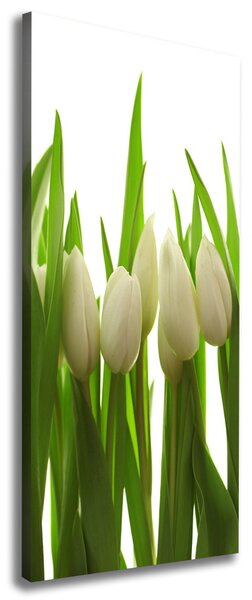 Vertikální Foto obraz na plátně Bílé tulipány ocv-40774671