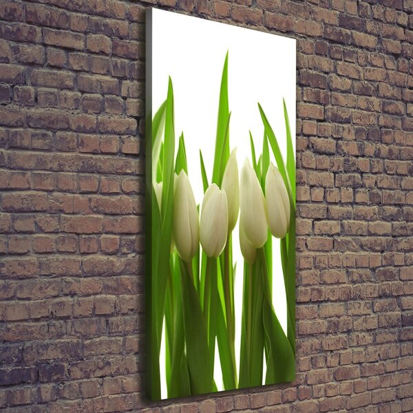 Vertikální Foto obraz na plátně Bílé tulipány ocv-40774671