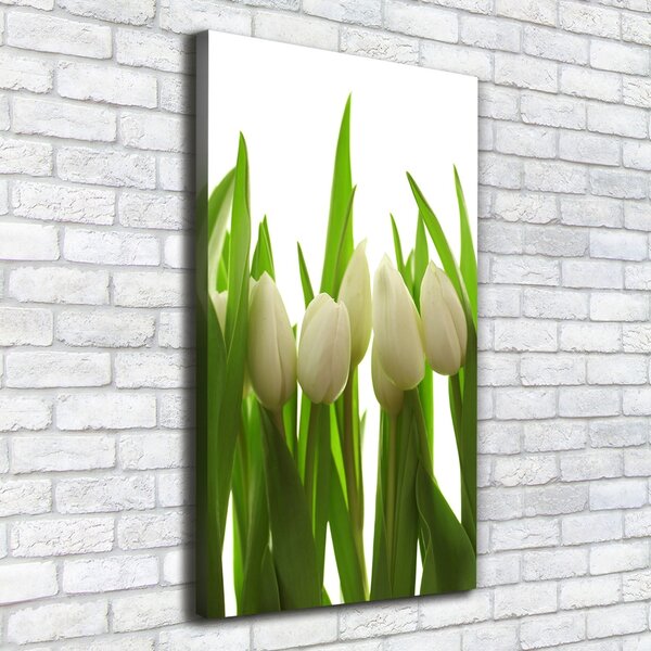 Vertikální Foto obraz na plátně Bílé tulipány ocv-40774671