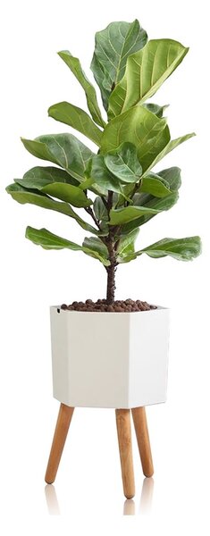Bílý samozavlažovací květináč Tomasucci Calla, ø 22,8 cm