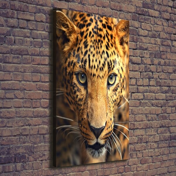 Vertikální Moderní obraz canvas na rámu Leopard ocv-42852431