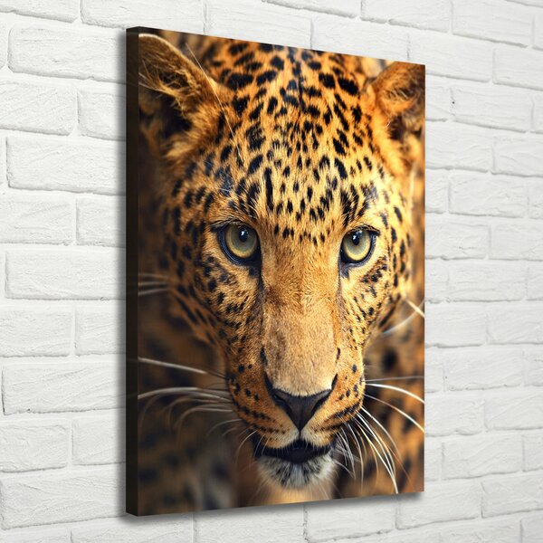 Vertikální Moderní obraz canvas na rámu Leopard ocv-42852431