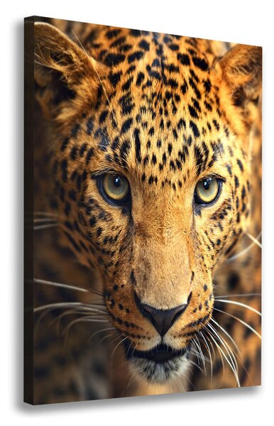 Vertikální Moderní obraz canvas na rámu Leopard ocv-42852431