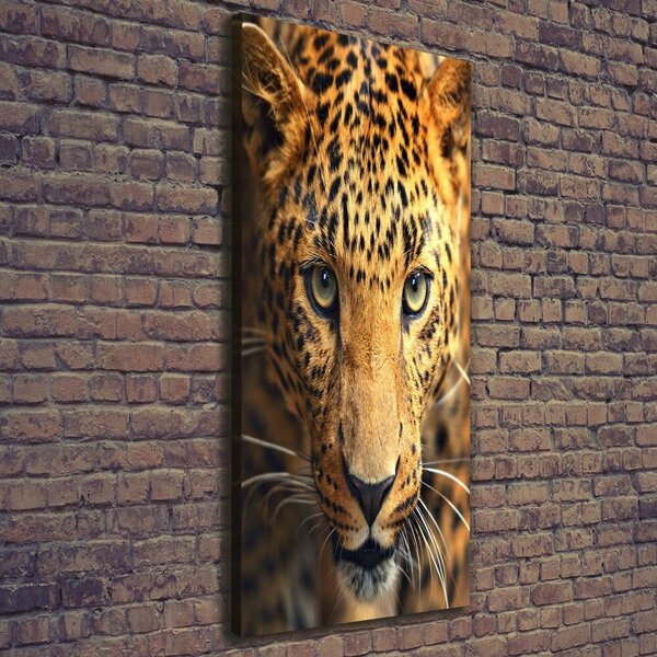 Vertikální Moderní obraz canvas na rámu Leopard ocv-42852431