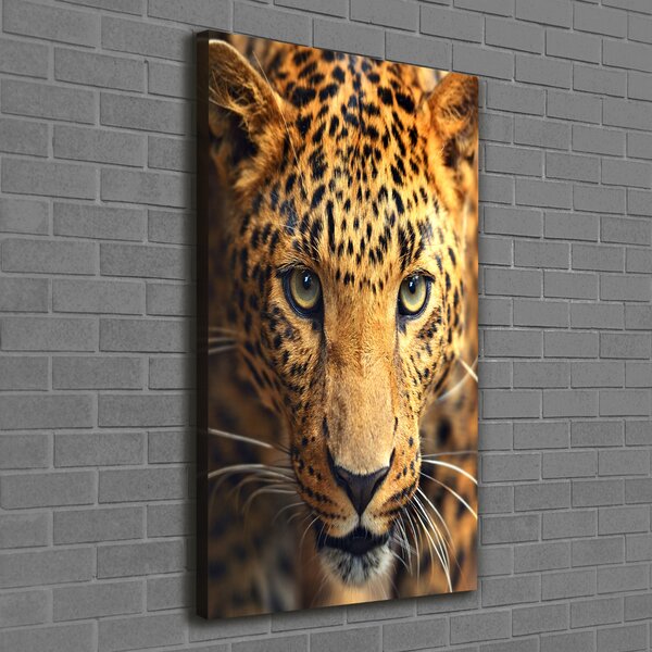Vertikální Moderní obraz canvas na rámu Leopard ocv-42852431