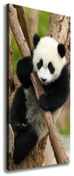 Vertikální Foto obraz na plátně Panda na stromě ocv-43324424