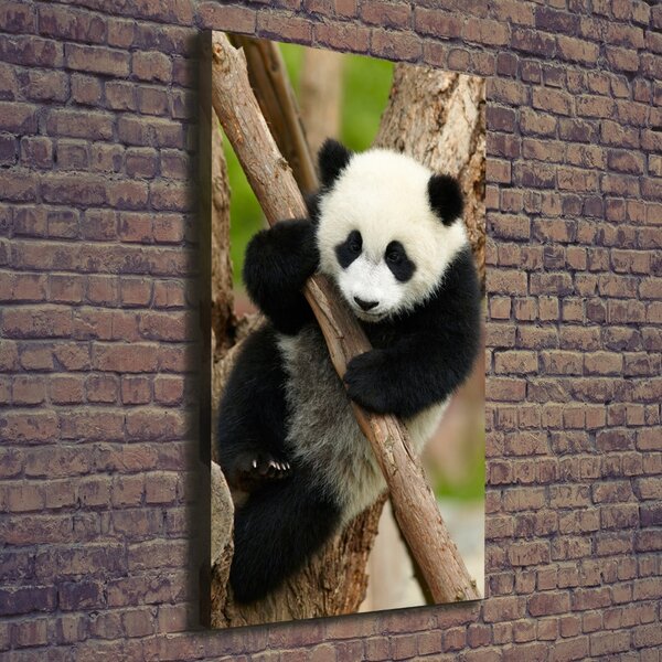 Vertikální Foto obraz na plátně Panda na stromě ocv-43324424