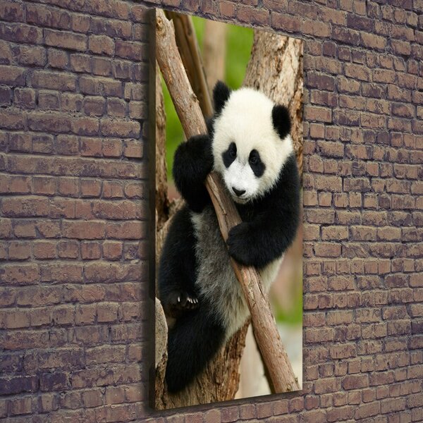 Vertikální Foto obraz na plátně Panda na stromě ocv-43324424