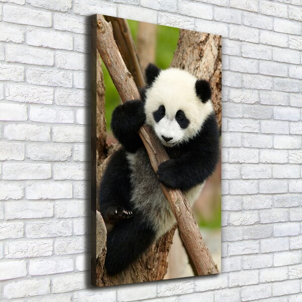 Vertikální Foto obraz na plátně Panda na stromě ocv-43324424