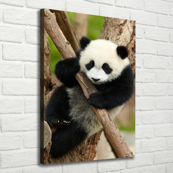 Vertikální Foto obraz na plátně Panda na stromě ocv-43324424