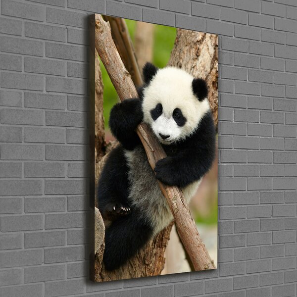 Vertikální Foto obraz na plátně Panda na stromě ocv-43324424
