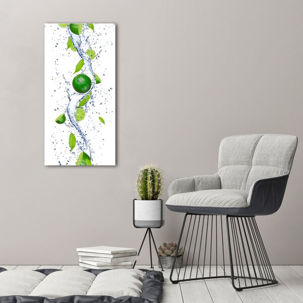 Vertikální Moderní obraz canvas na rámu Limetka ocv-43956192